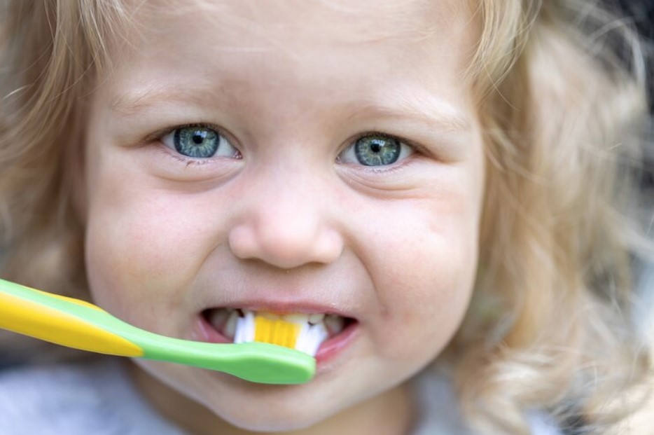 baby dental care